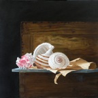 Pink Shell - oil on canvas cm 50x50